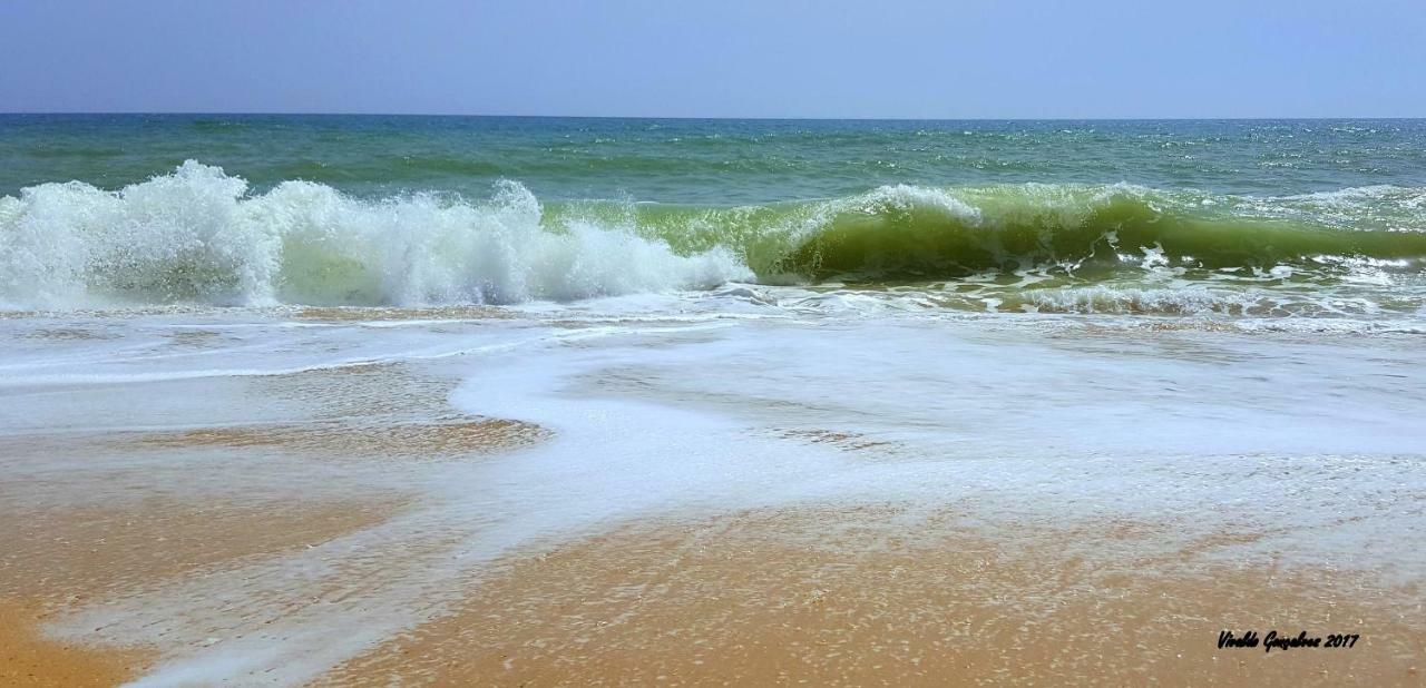 Shinning Waves Apartment Armação de Pêra المظهر الخارجي الصورة